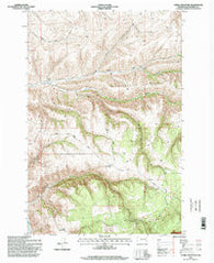 Cahill Mountain Washington Historical topographic map, 1:24000 scale, 7.5 X 7.5 Minute, Year 1995