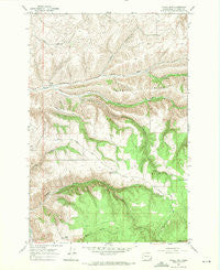 Cahill Mtn Washington Historical topographic map, 1:24000 scale, 7.5 X 7.5 Minute, Year 1967