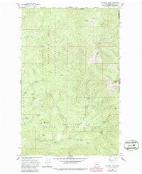 Calispell Peak Washington Historical topographic map, 1:24000 scale, 7.5 X 7.5 Minute, Year 1964