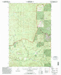Calispell Peak Washington Historical topographic map, 1:24000 scale, 7.5 X 7.5 Minute, Year 1992