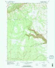 Camas Patch Washington Historical topographic map, 1:24000 scale, 7.5 X 7.5 Minute, Year 1965