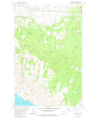 Camp Seven Washington Historical topographic map, 1:24000 scale, 7.5 X 7.5 Minute, Year 1980