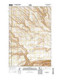 Canoe Ridge Washington Current topographic map, 1:24000 scale, 7.5 X 7.5 Minute, Year 2013