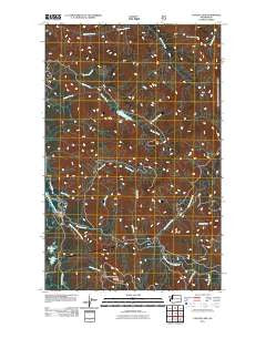 Canyon Lake Washington Historical topographic map, 1:24000 scale, 7.5 X 7.5 Minute, Year 2011