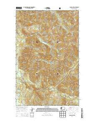Canyon Lake Washington Current topographic map, 1:24000 scale, 7.5 X 7.5 Minute, Year 2014