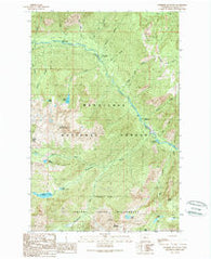 Cashmere Mountain Washington Historical topographic map, 1:24000 scale, 7.5 X 7.5 Minute, Year 1989