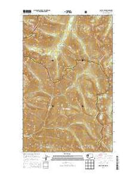 Castle Peak Washington Current topographic map, 1:24000 scale, 7.5 X 7.5 Minute, Year 2014