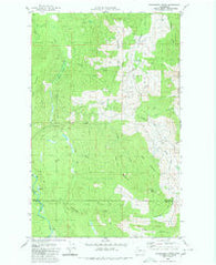 Cavanaugh Creek Washington Historical topographic map, 1:24000 scale, 7.5 X 7.5 Minute, Year 1980
