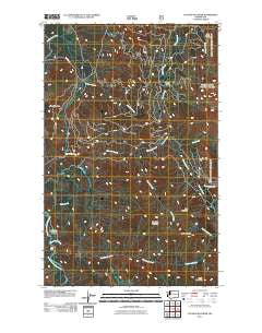 Cavanaugh Creek Washington Historical topographic map, 1:24000 scale, 7.5 X 7.5 Minute, Year 2011