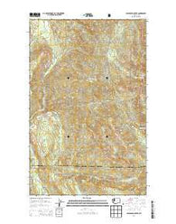Cavanaugh Creek Washington Current topographic map, 1:24000 scale, 7.5 X 7.5 Minute, Year 2014