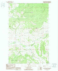 Cayuse Mountain Washington Historical topographic map, 1:24000 scale, 7.5 X 7.5 Minute, Year 1988