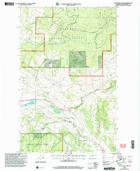 Cayuse Mountain Washington Historical topographic map, 1:24000 scale, 7.5 X 7.5 Minute, Year 2001