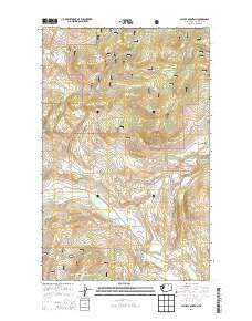 Cayuse Mountain Washington Current topographic map, 1:24000 scale, 7.5 X 7.5 Minute, Year 2014