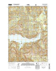 Cedar Flats Washington Current topographic map, 1:24000 scale, 7.5 X 7.5 Minute, Year 2013