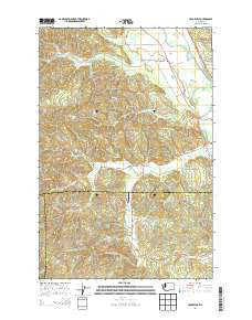 Cedarville Washington Current topographic map, 1:24000 scale, 7.5 X 7.5 Minute, Year 2014