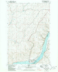 Central Ferry Washington Historical topographic map, 1:24000 scale, 7.5 X 7.5 Minute, Year 1981
