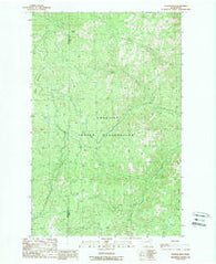 Central Peak Washington Historical topographic map, 1:24000 scale, 7.5 X 7.5 Minute, Year 1989