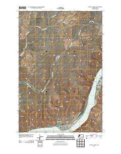 Central Ferry Washington Historical topographic map, 1:24000 scale, 7.5 X 7.5 Minute, Year 2011