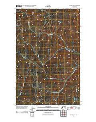 Central Peak Washington Historical topographic map, 1:24000 scale, 7.5 X 7.5 Minute, Year 2011