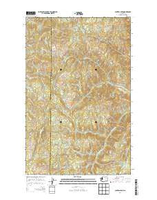 Central Peak Washington Current topographic map, 1:24000 scale, 7.5 X 7.5 Minute, Year 2014