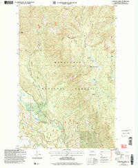 Chikamin Creek Washington Historical topographic map, 1:24000 scale, 7.5 X 7.5 Minute, Year 2004