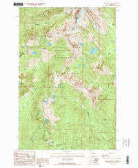 Chikamin Peak Washington Historical topographic map, 1:24000 scale, 7.5 X 7.5 Minute, Year 1989
