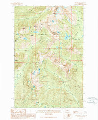 Chikamin Peak Washington Historical topographic map, 1:24000 scale, 7.5 X 7.5 Minute, Year 1989