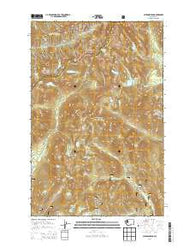 Chikamin Peak Washington Current topographic map, 1:24000 scale, 7.5 X 7.5 Minute, Year 2014