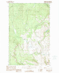 Chiliwist Valley Washington Historical topographic map, 1:24000 scale, 7.5 X 7.5 Minute, Year 1989