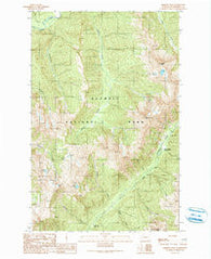 Chimney Peak Washington Historical topographic map, 1:24000 scale, 7.5 X 7.5 Minute, Year 1990
