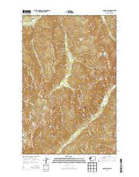 Chimney Peak Washington Current topographic map, 1:24000 scale, 7.5 X 7.5 Minute, Year 2014