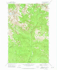 Chinook Pass Washington Historical topographic map, 1:24000 scale, 7.5 X 7.5 Minute, Year 1971