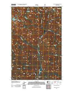 Chinook Pass Washington Historical topographic map, 1:24000 scale, 7.5 X 7.5 Minute, Year 2011
