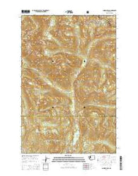 Chinook Pass Washington Current topographic map, 1:24000 scale, 7.5 X 7.5 Minute, Year 2014