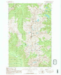Chiwaukum Mountains Washington Historical topographic map, 1:24000 scale, 7.5 X 7.5 Minute, Year 1989