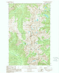 Chiwaukum Mountains Washington Historical topographic map, 1:24000 scale, 7.5 X 7.5 Minute, Year 1989