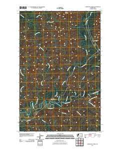 Christmas Creek Washington Historical topographic map, 1:24000 scale, 7.5 X 7.5 Minute, Year 2011