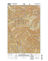 Chumstick Mountain Washington Current topographic map, 1:24000 scale, 7.5 X 7.5 Minute, Year 2014