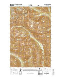 Clark Mountain Washington Current topographic map, 1:24000 scale, 7.5 X 7.5 Minute, Year 2014