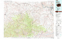 Clarkston Washington Historical topographic map, 1:100000 scale, 30 X 60 Minute, Year 1981
