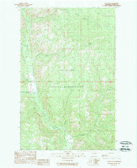 Cody Butte Washington Historical topographic map, 1:24000 scale, 7.5 X 7.5 Minute, Year 1989