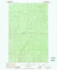 Cody Lake Washington Historical topographic map, 1:24000 scale, 7.5 X 7.5 Minute, Year 1989
