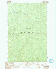 Cody Lake Washington Historical topographic map, 1:24000 scale, 7.5 X 7.5 Minute, Year 1989