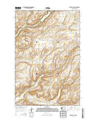 Coffeepot Lake Washington Current topographic map, 1:24000 scale, 7.5 X 7.5 Minute, Year 2013
