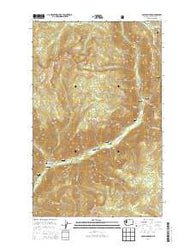 Coleman Peak Washington Current topographic map, 1:24000 scale, 7.5 X 7.5 Minute, Year 2014