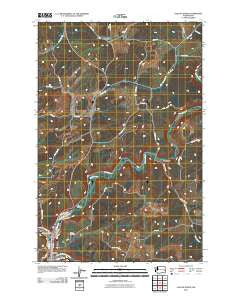 Colfax North Washington Historical topographic map, 1:24000 scale, 7.5 X 7.5 Minute, Year 2011