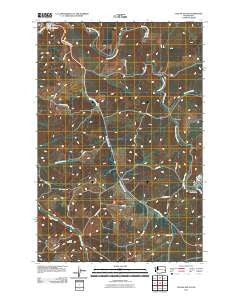 Colfax South Washington Historical topographic map, 1:24000 scale, 7.5 X 7.5 Minute, Year 2011