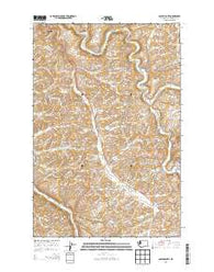 Colfax South Washington Current topographic map, 1:24000 scale, 7.5 X 7.5 Minute, Year 2013