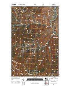 Cooper Mountain Washington Historical topographic map, 1:24000 scale, 7.5 X 7.5 Minute, Year 2011