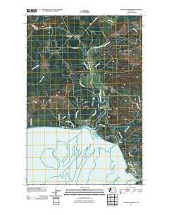 Copalis Crossing Washington Historical topographic map, 1:24000 scale, 7.5 X 7.5 Minute, Year 2011